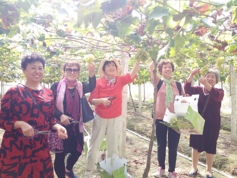 ����ʵ��Сѧ��֯���ݽ�ʦ��չ������ժ���ѻ